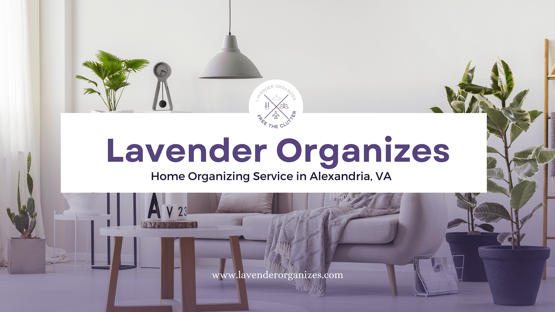 What is a Professional Organizer?